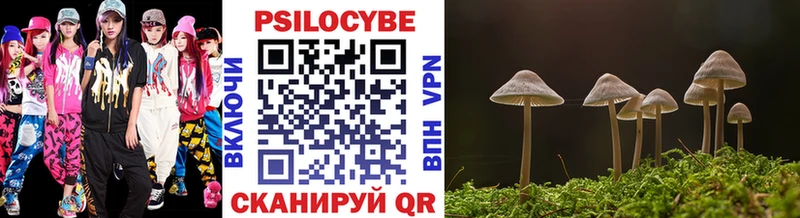 Псилоцибиновые грибы мицелий  mega зеркало  Владимир  купить  