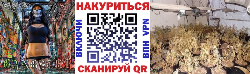 сколько стоит  Владимир  Марихуана план 